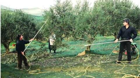 &Epsilon;&sigma;&pi;&epsilon;&rho;ί&delta;&alpha;: &laquo;&Pi;&alpha;&rho;&epsilon;&lambda;&theta;ό&nu;, &Pi;&alpha;&rho;ό&nu; &kappa;&alpha;&iota; &Mu;έ&lambda;&lambda;&omicron;&nu; &Epsilon;&lambda;&iota;ά&sigmaf; &kappa;&alpha;&iota; &Epsilon;&lambda;&alpha;&iota;&omicron;&lambda;ά&delta;&omicron;&upsilon;&raquo;