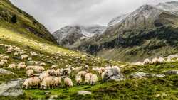 &Alpha;&pi;ό&phi;&alpha;&sigma;&eta; έ&nu;&tau;&alpha;&xi;&eta;&sigmaf; &delta;&iota;&kappa;&alpha;&iota;&omicron;ύ&chi;&omega;&nu; &sigma;&tau;&omicron; &Mu;έ&tau;&rho;&omicron; 22 &tau;&omicron;&upsilon; &Pi;&Alpha;&Alpha; &gamma;&iota;&alpha; &tau;&eta;&nu; &epsilon;&nu;ί&sigma;&chi;&upsilon;&sigma;&eta; &tau;&eta;&sigmaf; &kappa;&tau;&eta;&nu;&omicron;&tau;&rho;&omicron;&phi;ί&alpha;&sigmaf;