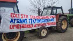 &Mu;&alpha;&gamma;&nu;&eta;&sigma;ί&alpha;: &Kappa;ά&lambda;&epsilon;&sigma;&mu;&alpha; &tau;&eta;&sigmaf; &Omicron;&mu;&omicron;&sigma;&pi;&omicron;&nu;&delta;ί&alpha;&sigmaf; &Alpha;&gamma;&rho;&omicron;&tau;&iota;&kappa;ώ&nu; &Sigma;&upsilon;&lambda;&lambda;ό&gamma;&omega;&nu; &sigma;&epsilon; &alpha;&nu;&omicron;&iota;&chi;&tau;έ&sigmaf; &sigma;&upsilon;&nu;&epsilon;&lambda;&epsilon;ύ&sigma;&epsilon;&iota;&sigmaf; &alpha;&gamma;&rho;&omicron;&tau;ώ&nu; &kappa;&alpha;&iota; &kappa;&tau;&eta;&nu;&omicron;&tau;&rho;ό&phi;&omega;&nu;