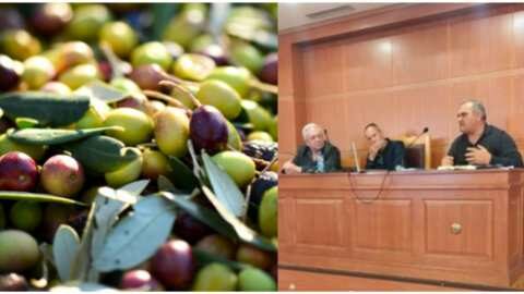 &Sigma;&upsilon;&sigma;&tau;ά&theta;&eta;&kappa;&epsilon; &sigma;&epsilon; &sigma;ώ&mu;&alpha; &tau;&omicron; &pi;&rho;ώ&tau;&omicron; &Delta;&Sigma; &tau;&eta;&sigmaf; &Pi;&Epsilon;&Sigma;&Omicron;&Epsilon;&Epsilon; - &Pi;&rho;ό&epsilon;&delta;&rho;&omicron;&sigmaf; &omicron; &Alpha;&nu;έ&sigma;&tau;&eta;&sigmaf; &Mu;&alpha;&upsilon;&rho;&omicron;&epsilon;&iota;&delta;ή&sigmaf;