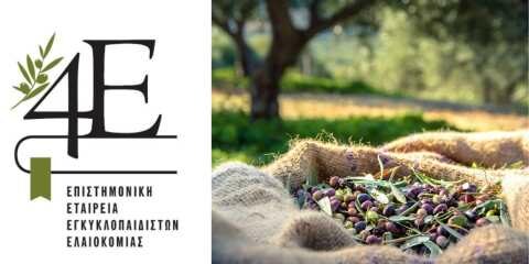 &Omicron;&iota; &theta;έ&sigma;&epsilon;&iota;&sigmaf; &tau;&eta;&sigmaf; 4&Epsilon; &gamma;&iota;&alpha; &tau;&eta;&nu; &kappa;&alpha;&tau;ά&rho;&rho;&epsilon;&upsilon;&sigma;&eta; &tau;&omega;&nu; &tau;&iota;&mu;ώ&nu; &epsilon;&lambda;&alpha;&iota;&omicron;&lambda;ά&delta;&omicron;&upsilon;