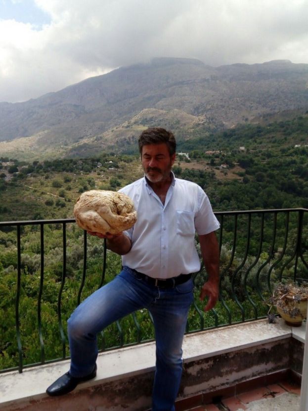 &Gamma;&iota;&gamma;ά&nu;&tau;&iota;&omicron; &mu;&alpha;&nu;&iota;&tau;ά&rho;&iota; 4 &kappa;&iota;&lambda;ώ&nu; &pi;&epsilon;&rho;ί&pi;&omicron;&upsilon; &sigma;&tau;&eta;&nu; &Kappa;&rho;ή&tau;&eta;