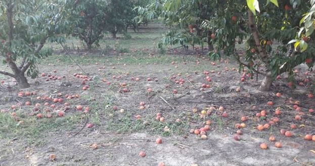 &Kappa;ά&lambda;&epsilon;&sigma;&mu;&alpha; &sigma;&upsilon;&nu;&epsilon;&tau;&alpha;&iota;&rho;&iota;&sigma;&mu;ώ&nu; &sigma;&tau;&alpha; &mu;έ&lambda;&eta; &gamma;&iota;&alpha; &delta;&eta;&lambda;ώ&sigma;&epsilon;&iota;&sigmaf; &zeta;&eta;&mu;&iota;ά&sigmaf; &kappa;&alpha;&iota; &kappa;&alpha;&tau;&alpha;&gamma;&rho;&alpha;&phi;ή &tau;&omega;&nu; &sigma;&tau;&omicron;&iota;&chi;&epsilon;ί&omega;&nu;