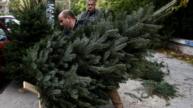 &Tau;&alpha; &phi;&upsilon;&tau;ά &tau;&omega;&nu; &Chi;&rho;&iota;&sigma;&tau;&omicron;&upsilon;&gamma;έ&nu;&nu;&omega;&nu; &kappa;&alpha;&iota; &omicron; &sigma;&upsilon;&mu;&beta;&omicron;&lambda;&iota;&sigma;&mu;ό&sigmaf; &tau;&omicron;&upsilon;&sigmaf;