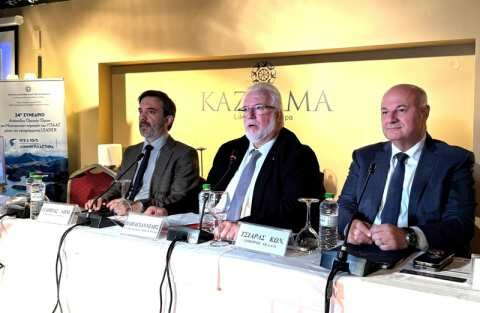 &Tau;&omicron; Leader &beta;&alpha;&sigma;&iota;&kappa;ό&sigmaf; &pi;&upsilon;&lambda;ώ&nu;&alpha;&sigmaf; &alpha;&nu;ά&pi;&tau;&upsilon;&xi;&eta;&sigmaf; &tau;&eta;&sigmaf; &epsilon;&lambda;&lambda;&eta;&nu;&iota;&kappa;ή&sigmaf; &upsilon;&pi;&alpha;ί&theta;&rho;&omicron;&upsilon;