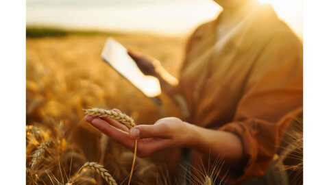 &Eta; &Lambda;ύ&sigma;&eta; &gamma;&iota;&alpha; Έ&xi;&upsilon;&pi;&nu;&eta; &kappa;&alpha;&iota; &Alpha;&pi;&omicron;&delta;&omicron;&tau;&iota;&kappa;ή &Kappa;&alpha;&lambda;&lambda;&iota;έ&rho;&gamma;&epsilon;&iota;&alpha;! | &Delta;&epsilon;&sigmaf; &tau;&alpha; &pi;&lambda;&epsilon;&omicron;&nu;&epsilon;&kappa;&tau;ή&mu;&alpha;&tau;&alpha; &tau;&eta;&sigmaf; &nu;έ&alpha;&sigmaf; &epsilon;&phi;&alpha;&rho;&mu;&omicron;&gamma;ή&sigmaf; - 2025