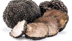 1&eta; &Pi;&alpha;&nu;&epsilon;&lambda;&lambda;ή&nu;&iota;&alpha; &Gamma;&iota;&omicron;&rho;&tau;ή &Tau;&rho;&omicron;ύ&phi;&alpha;&sigmaf;