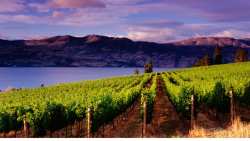 &Pi;&alpha;&rho;ά&tau;&alpha;&sigma;&eta; &pi;&rho;&omicron;&theta;&epsilon;&sigma;&mu;ί&alpha;&sigmaf; &upsilon;&pi;&omicron;&beta;&omicron;&lambda;ή&sigmaf; &alpha;&iota;&tau;ή&sigma;&epsilon;&omega;&nu; &gamma;&iota;&alpha; &alpha;&nu;&alpha;&delta;&iota;ά&rho;&theta;&rho;&omega;&sigma;&eta; &kappa;&alpha;&iota; &mu;&epsilon;&tau;&alpha;&tau;&rho;&omicron;&pi;ή &alpha;&mu;&pi;&epsilon;&lambda;ώ&nu;&omega;&nu;, έ&omega;&sigmaf; 27 &Nu;&omicron;&epsilon;&mu;&beta;&rho;ί&omicron;&upsilon;