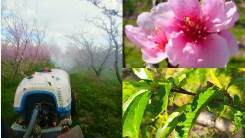 &Alpha;&nu;&tau;&iota;&mu;&epsilon;&tau;ώ&pi;&iota;&sigma;&eta; &mu;&omicron;&nu;ί&lambda;&iota;&alpha;&sigmaf; , &epsilon;&xi;ώ&alpha;&sigma;&kappa;&omicron;&upsilon; &kappa;&alpha;&iota; &kappa;&lambda;&epsilon;&omicron;&nu;&omicron;ύ &sigma;&tau;&eta;&nu; &kappa;&alpha;&lambda;&lambda;&iota;έ&rho;&gamma;&epsilon;&iota;&alpha; &tau;&eta;&sigmaf; &Rho;&omicron;&delta;&alpha;&kappa;&iota;&nu;&iota;ά&sigmaf; | &Alpha;&gamma;&rho;&omicron;&tau;&iota;&kappa;ά &nu;έ&alpha; IMATHIOTIKIGI.GR