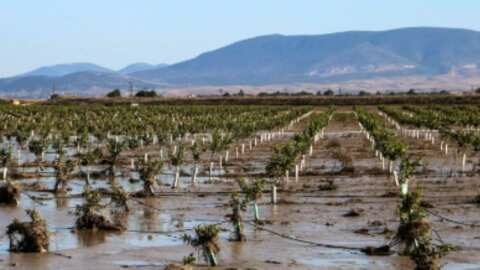 &Sigma;ύ&sigma;&kappa;&epsilon;&psi;&eta; &tau;&eta;&nu; &Pi;&alpha;&rho;&alpha;&sigma;&kappa;&epsilon;&upsilon;ή &sigma;&tau;&omicron; &Upsilon;&Pi;&Alpha;&Alpha;&Tau; &gamma;&iota;&alpha; &tau;&eta; &Theta;&epsilon;&sigma;&sigma;&alpha;&lambda;ί&alpha; &mu;&epsilon; &epsilon;&kappa;&pi;&rho;&omicron;&sigma;ώ&pi;&omicron;&upsilon;&sigmaf; &alpha;&gamma;&rho;&omicron;&tau;ώ&nu; &Pi;&Epsilon;&Mu; &kappa;&alpha;&iota; &alpha;&upsilon;&tau;&omicron;&delta;&iota;&omicron;&iota;&kappa;&eta;&tau;&iota;&kappa;&omicron;ύ&sigmaf; &pi;&alpha;&rho;&alpha;&kappa;ά&rho;&lambda;&iota;&omega;&nu; &pi;&epsilon;&rho;&iota;&omicron;&chi;ώ&nu;