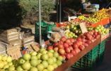 &Nu;έ&epsilon;&sigmaf; &rho;&upsilon;&theta;&mu;ί&sigma;&epsilon;&iota;&sigmaf; &gamma;&iota;&alpha; &tau;&eta;&nu; &lambda;&epsilon;&iota;&tau;&omicron;&upsilon;&rho;&gamma;ί&alpha; &tau;&omega;&nu; &lambda;&alpha;ϊ&kappa;ώ&nu; &alpha;&gamma;&omicron;&rho;ώ&nu; &tau;&omicron;&upsilon; &Delta;ή&mu;&omicron;&upsilon; &Beta;έ&rho;&omicron;&iota;&alpha;&sigmaf;