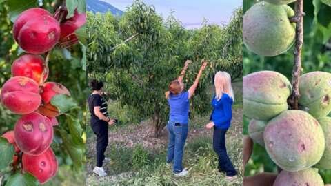 &Epsilon;&rho;ώ&tau;&eta;&sigma;&eta; &Tau;&zeta;ά&kappa;&rho;&eta; &sigma;&tau;&eta; &Beta;&omicron;&upsilon;&lambda;ή &gamma;&iota;&alpha; &tau;&iota;&sigmaf; &zeta;&eta;&mu;&iota;έ&sigmaf; &pi;&omicron;&upsilon; &pi;&rho;&omicron;&kappa;&lambda;ή&theta;&eta;&kappa;&alpha;&nu; &sigma;&epsilon; &kappa;&alpha;&lambda;&lambda;&iota;έ&rho;&gamma;&epsilon;&iota;&epsilon;&sigmaf; &alpha;&pi;ό &tau;&eta; &chi;&alpha;&lambda;&alpha;&zeta;ό&pi;&tau;&omega;&sigma;&eta; &tau;&eta;&sigmaf; 22&alpha;&sigmaf; &Mu;&alpha;ΐ&omicron;&upsilon;