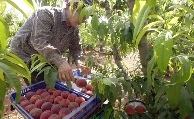 &Epsilon;&rho;&gamma;ά&tau;&epsilon;&sigmaf; &gamma;&eta;&sigmaf;: &Delta;&upsilon;&nu;&alpha;&tau;ό&tau;&eta;&tau;&alpha; &epsilon;&lambda;&epsilon;ύ&theta;&epsilon;&rho;&eta;&sigmaf; &epsilon;&pi;&iota;&lambda;&omicron;&gamma;ή&sigmaf; &alpha;&sigma;&phi;&alpha;&lambda;&iota;&sigma;&tau;&iota;&kappa;ή&sigmaf; &kappa;&alpha;&tau;&eta;&gamma;&omicron;&rho;ί&alpha;&sigmaf;