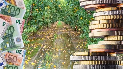 &Chi;&omicron;&rho;ή&gamma;&eta;&sigma;&eta; &sigma;&tau;&rho;&epsilon;&mu;&mu;&alpha;&tau;&iota;&kappa;ώ&nu; &alpha;&pi;&omicron;&zeta;&eta;&mu;&iota;ώ&sigma;&epsilon;&omega;&nu; &sigma;&epsilon; &pi;&alpha;&rho;&alpha;&gamma;&omega;&gamma;&omicron;ύ&sigmaf; &pi;&omicron;&upsilon; έ&chi;&omicron;&upsilon;&nu; &upsilon;&pi;&omicron;&sigma;&tau;&epsilon;ί &mu;&epsilon;ί&omega;&sigma;&eta; &pi;&alpha;&rho;&alpha;&gamma;&omega;&gamma;ή&sigmaf; ά&nu;&omega; &tau;&omicron;&upsilon; 30% - &Pi;ό&tau;&epsilon; &theta;&alpha; &tau;&iota;&sigmaf; &lambda;ά&beta;&omicron;&upsilon;&nu; &omicron;&iota; &alpha;&gamma;&rho;ό&tau;&epsilon;&sigmaf;