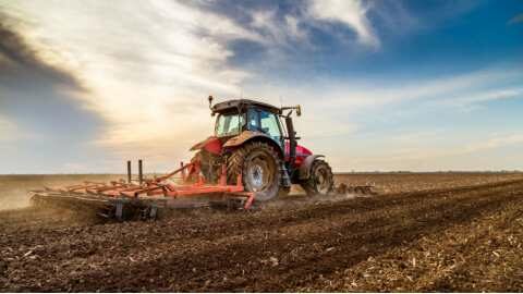 &Theta;&alpha;&nu;ά&sigma;&eta;&sigmaf; &Pi;&alpha;&pi;&alpha;&theta;&alpha;&nu;ά&sigma;&eta;&sigmaf;: &Alpha;&nu;&alpha;&mu;&omicron;&rho;&phi;ώ&nu;&omicron;&upsilon;&mu;&epsilon; &tau;&omicron; &sigma;&chi;έ&delta;&iota;&omicron; &alpha;&nu;ά&pi;&tau;&upsilon;&xi;&eta;&sigmaf; &tau;&eta;&sigmaf; &alpha;&gamma;&rho;&omicron;&tau;&iota;&kappa;ή&sigmaf; &omicron;&iota;&kappa;&omicron;&nu;&omicron;&mu;ί&alpha;&sigmaf;