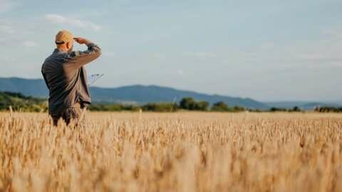 &Pi;&Epsilon;&Gamma;&Delta;&Upsilon;: &Sigma;ύ&nu;&tau;&omicron;&mu;&omicron; &upsilon;&pi;ό&mu;&nu;&eta;&mu;&alpha; &gamma;&iota;&alpha; &pi;&rho;ό&sigma;&theta;&epsilon;&tau;&eta; &alpha;&nu;&tau;&alpha;&pi;&omicron;&delta;&omicron;&tau;&iota;&kappa;ή &upsilon;&pi;&epsilon;&rho;&omega;&rho;&iota;&alpha;&kappa;ή &epsilon;&rho;&gamma;&alpha;&sigma;ί&alpha; &epsilon;&kappa;&tau;ό&sigmaf; &omega;&rho;&alpha;&rho;ί&omicron;&upsilon; &tau;&omega;&nu; &Gamma;&epsilon;&omega;&tau;&epsilon;&chi;&nu;&iota;&kappa;ώ&nu; &tau;&omicron;&upsilon; &Delta;&eta;&mu;&omicron;&sigma;ί&omicron;&upsilon; &Tau;&omicron;&mu;έ&alpha;