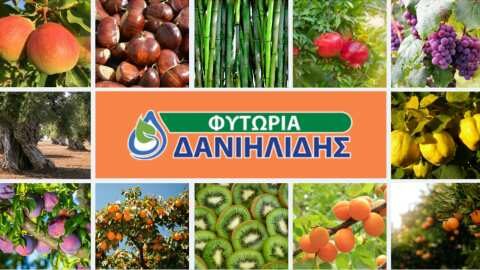 &Phi;&upsilon;&tau;ώ&rho;&iota;&alpha; &Delta;&alpha;&nu;&iota;&eta;&lambda;ί&delta;&eta; : &Delta;&iota;&epsilon;&tau;ή &phi;&upsilon;&tau;ά &alpha;&kappa;&tau;&iota;&nu;&iota;&delta;&iota;ά&sigmaf;, &alpha;&chi;&lambda;ά&delta;&iota; eden &sigma;&epsilon; &gamma;&lambda;ά&sigma;&tau;&rho;&alpha; &kappa;&alpha;&iota; &beta;&epsilon;&rho;&iota;&kappa;&omicron;&kappa;&iota;έ&sigmaf; (&Beta;&Iota;&Nu;&Tau;&Epsilon;&Omicron;)