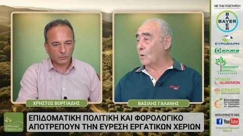 &ldquo;&Epsilon;&lambda;&lambda;&eta;&nu;&iota;&kappa;ή &Pi;&alpha;&rho;&alpha;&gamma;&omega;&gamma;ή&rdquo; web-tv: &Alpha;&phi;&iota;έ&rho;&omega;&mu;&alpha; &sigma;&tau;&omicron; &Rho;&omicron;&delta;ά&kappa;&iota;&nu;&omicron; &kappa;&alpha;&iota; &tau;&alpha; &pi;&upsilon;&rho;&eta;&nu;ό&kappa;&alpha;&rho;&pi;&alpha; &tau;&eta;&sigmaf; &Kappa;&epsilon;&nu;&tau;&rho;&iota;&kappa;ή&sigmaf; &Mu;&alpha;&kappa;&epsilon;&delta;&omicron;&nu;ί&alpha;&sigmaf;