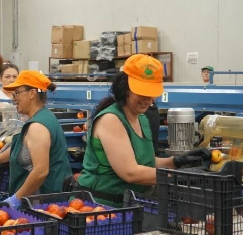 &Lambda;ύ&nu;&epsilon;&tau;&alpha;&iota; &mu;&epsilon; &tau;&rho;&omicron;&pi;&omicron;&lambda;&omicron;&gamma;ί&alpha; &tau;&omicron; &pi;&rho;ό&beta;&lambda;&eta;&mu;&alpha; &tau;&omega;&nu; &epsilon;&pi;&omicron;&chi;&iota;&kappa;ώ&nu; &epsilon;&rho;&gamma;&alpha;&zeta;ό&mu;&epsilon;&nu;&omega;&nu; &sigma;&epsilon; &epsilon;&rho;&gamma;&omicron;&sigma;&tau;ά&sigma;&iota;&alpha; &mu;&epsilon;&tau;&alpha;&pi;&omicron;ί&eta;&sigma;&eta;&sigmaf;