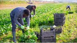 &Mu;&epsilon;&gamma;ά&lambda;&omicron; &pi;&rho;ό&beta;&lambda;&eta;&mu;&alpha; &pi;&rho;&omicron;&kappa;ύ&pi;&tau;&epsilon;&iota; &mu;&epsilon; &tau;&eta;&nu; έ&lambda;&lambda;&epsilon;&iota;&psi;&eta; &epsilon;&rho;&gamma;&alpha;&tau;ώ&nu; &gamma;&eta;&sigmaf; &kappa;&alpha;&iota; &tau;&eta;&nu; &pi;&omicron;&lambda;&iota;&tau;&epsilon;ί&alpha; &nu;&alpha; &alpha;&delta;&upsilon;&nu;&alpha;&tau;&epsilon;ί &nu;&alpha; &alpha;&nu;&tau;&alpha;&pi;&epsilon;&xi;έ&lambda;&theta;&epsilon;&iota;