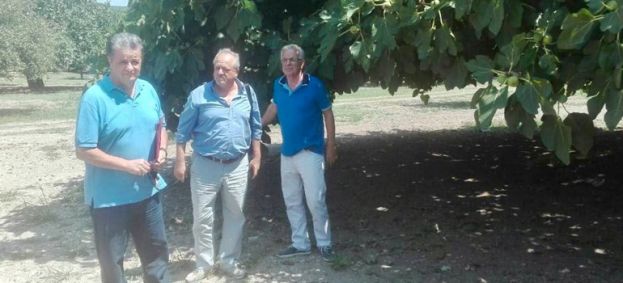 &Alpha;&pi;&omicron;&sigma;&tau;ό&lambda;&omicron;&upsilon;: &Alpha;&rho;&chi;ί&zeta;&omicron;&upsilon;&nu; ά&mu;&epsilon;&sigma;&alpha; &omicron;&iota; &epsilon;&kappa;&tau;&iota;&mu;ή&sigma;&epsilon;&iota;&sigmaf; &zeta;&eta;&mu;&iota;ώ&nu; &alpha;&pi;ό &tau;&iota;&sigmaf; &pi;&rho;ό&sigma;&phi;&alpha;&tau;&epsilon;&sigmaf; &beta;&rho;&omicron;&chi;&omicron;&pi;&tau;ώ&sigma;&epsilon;&iota;&sigmaf; &sigma;&tau;&iota;&sigmaf; &kappa;&alpha;&lambda;&lambda;&iota;έ&rho;&gamma;&epsilon;&iota;&epsilon;&sigmaf; &sigma;ύ&kappa;&omega;&nu; &tau;&eta;&sigmaf; &Epsilon;ύ&beta;&omicron;&iota;&alpha;&sigmaf;