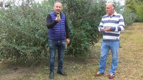 &Eta; &kappa;&alpha;&lambda;&lambda;&iota;έ&rho;&gamma;&epsilon;&iota;&alpha; &pi;&omicron;&upsilon; &delta;&epsilon;&nu; &alpha;&pi;&alpha;&iota;&tau;&epsilon;ί &phi;&upsilon;&tau;&omicron;&phi;ά&rho;&mu;&alpha;&kappa;&alpha; &kappa;&alpha;&iota; &alpha;&pi;&omicron;&phi;έ&rho;&epsilon;&iota; &pi;ά&nu;&omega; &alpha;&pi;ό 5000 &epsilon;&upsilon;&rho;ώ &tau;&omicron; &sigma;&tau;&rho;έ&mu;&mu;&alpha; (&Beta;ί&nu;&tau;&epsilon;&omicron;)