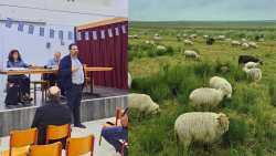 &Mu;&epsilon; &epsilon;&pi;&iota;&tau;&upsilon;&chi;ί&alpha; &sigma;&tau;έ&phi;&tau;&eta;&kappa;&epsilon; &eta; &epsilon;&sigma;&pi;&epsilon;&rho;ί&delta;&alpha; &tau;&eta;&sigmaf; &Pi;&epsilon;&rho;&iota;&phi;έ&rho;&epsilon;&iota;&alpha;&sigmaf; &Kappa;&rho;ή&tau;&eta;&sigmaf; &gamma;&iota;&alpha; &tau;&eta;&nu; &laquo;&Epsilon;&upsilon;&lambda;&omicron;&gamma;&iota;ά &tau;&omicron;&upsilon; &Pi;&rho;&omicron;&beta;ά&tau;&omicron;&upsilon;&raquo; &sigma;&tau;&omicron;&nu; &Pi;ύ&rho;&gamma;&omicron; &Alpha;&rho;&chi;&alpha;&nu;ώ&nu; &ndash; &Alpha;&sigma;&tau;&epsilon;&rho;&omicron;&upsilon;&sigma;ί&omega;&nu;