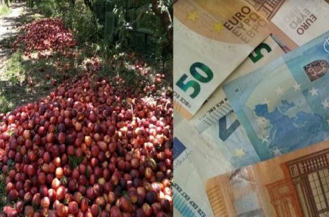 Έ&rho;&chi;&omicron;&nu;&tau;&alpha;&iota; &alpha;&pi;&omicron;&zeta;&eta;&mu;&iota;ώ&sigma;&epsilon;&iota;&sigmaf; &tau;&omega;&nu; &rho;&omicron;&delta;&alpha;&kappa;&iota;&nu;&omicron;&pi;&alpha;&rho;&alpha;&gamma;&omega;&gamma;ώ&nu; ό&pi;&omega;&sigmaf; &tau;&iota;&sigmaf; &pi;&epsilon;&rho;&sigma;&iota;&nu;έ&sigmaf;;