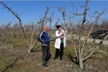 &Pi;&alpha;&gamma;&epsilon;&tau;ό&sigmaf;: &Delta;ή&lambda;&omega;&sigma;&eta; &tau;&eta;&sigmaf; &Phi;&rho;ό&sigma;&omega;&sigmaf; &Kappa;&alpha;&rho;&alpha;&sigma;&alpha;&rho;&lambda;ί&delta;&omicron;&upsilon; &gamma;&iota;&alpha; &tau;&iota;&sigmaf; &alpha;&pi;&omicron;&zeta;&eta;&mu;&iota;ώ&sigma;&epsilon;&iota;&sigmaf; &tau;&omega;&nu; &alpha;&gamma;&rho;&omicron;&tau;ώ&nu; &tau;&eta;&sigmaf; &Eta;&mu;&alpha;&theta;ί&alpha;&sigmaf;