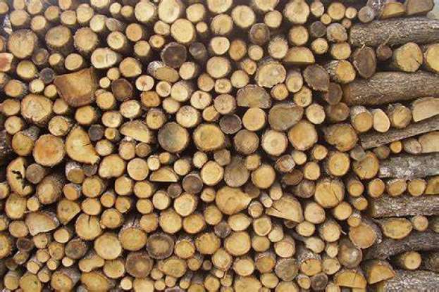 &Kappa;&alpha;ί&nu;&epsilon; &omicron;&iota; &tau;&iota;&mu;έ&sigmaf; &sigma;&epsilon; &kappa;&alpha;&upsilon;&sigma;ό&xi;&upsilon;&lambda;&alpha; &kappa;&alpha;&iota; &pi;έ&lambda;&epsilon;&tau;