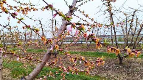 &Beta;έ&rho;&omicron;&iota;&alpha;: &Alpha;&nu;&alpha;&kappa;&omicron;ί&nu;&omega;&sigma;&eta; &gamma;&iota;&alpha; &upsilon;&pi;&omicron;&beta;&omicron;&lambda;ή &delta;&eta;&lambda;ώ&sigma;&epsilon;&omega;&nu; &zeta;&eta;&mu;&iota;ά&sigmaf; &alpha;&pi;ό &pi;&alpha;&gamma;&epsilon;&tau;ό &tau;&eta;&sigmaf; 21/2/25 &sigma;&epsilon; &Mu;&alpha;&kappa;&rho;&omicron;&chi;ώ&rho;&iota; - &Delta;&iota;&alpha;&beta;&alpha;&tau;ό