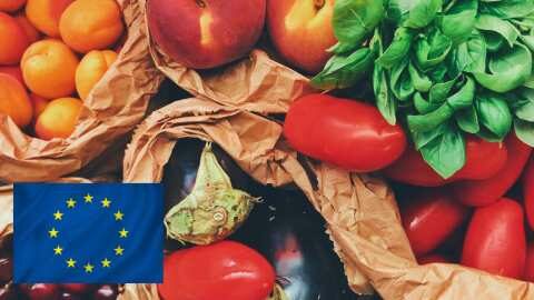 &Tau;&omicron; &mu;έ&lambda;&lambda;&omicron;&nu; &tau;&eta;&sigmaf; &gamma;&epsilon;&omega;&rho;&gamma;ί&alpha;&sigmaf; &sigma;&tau;&eta;&nu; &Epsilon;&Epsilon; &kappa;&alpha;&iota; &eta; έ&kappa;&theta;&epsilon;&sigma;&eta; &pi;&omicron;&upsilon; έ&lambda;&alpha;&beta;&epsilon; &eta; &Pi;&rho;ό&epsilon;&delta;&rho;&omicron;&sigmaf; -  &Delta;&iota;ά&rho;&theta;&rho;&omega;&sigma;&eta; &tau;&omega;&nu; &sigma;&upsilon;&sigma;&tau;ά&sigma;&epsilon;&omega;&nu; &sigma;&epsilon; &pi;έ&nu;&tau;&epsilon; &pi;&upsilon;&lambda;ώ&nu;&epsilon;&sigmaf;