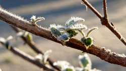 &Kappa;&omicron;&iota;&nu;&omicron;&pi;&omicron;ί&eta;&sigma;&eta; &pi;ί&nu;&alpha;&kappa;&alpha; &epsilon;&kappa;&tau;&iota;&mu;ή&sigma;&epsilon;&omega;&nu; &zeta;&eta;&mu;&iota;ώ&nu; &alpha;&pi;ό &pi;&alpha;&gamma;&epsilon;&tau;ό 21/03/2022 &sigma;&tau;&eta;&nu; &Delta;/&Tau;.&Kappa;. &Beta;έ&rho;&omicron;&iota;&alpha;&sigmaf;