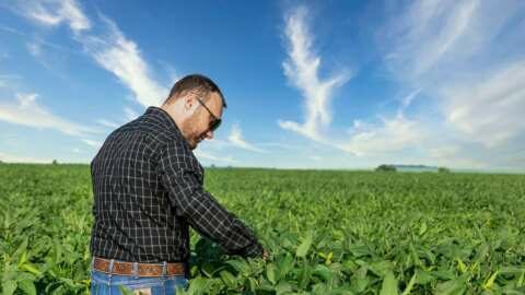 &Pi;&Epsilon;&Gamma;&Delta;&Upsilon;: Ό&chi;&iota; ά&lambda;&lambda;&omicron; &sigma;&tau;&omicron;&nu; &epsilon;&mu;&pi;&alpha;&iota;&gamma;&mu;ό &tau;&omega;&nu; &Gamma;&epsilon;&omega;&pi;ό&nu;&omega;&nu; &Delta;.&Upsilon;.