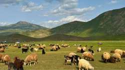 &Alpha;&nu;&alpha;&kappa;&omicron;ί&nu;&omega;&sigma;&eta; &Epsilon;&theta;&nu;&iota;&kappa;ή&sigmaf; &Epsilon;&pi;&iota;&sigma;&tau;&eta;&mu;&omicron;&nu;&iota;&kappa;ή&sigmaf; &Epsilon;&pi;&iota;&tau;&rho;&omicron;&pi;ή&sigmaf; &Delta;&iota;&alpha;&chi;&epsilon;ί&rho;&iota;&sigma;&eta;&sigmaf; &kappa;&alpha;&iota; &Epsilon;&lambda;έ&gamma;&chi;&omicron;&upsilon; &tau;&eta;&sigmaf; &Epsilon;&upsilon;&lambda;&omicron;&gamma;&iota;ά&sigmaf; &tau;&omega;&nu; &Alpha;&iota;&gamma;&omicron;&pi;&rho;&omicron;&beta;ά&tau;&omega;&nu;