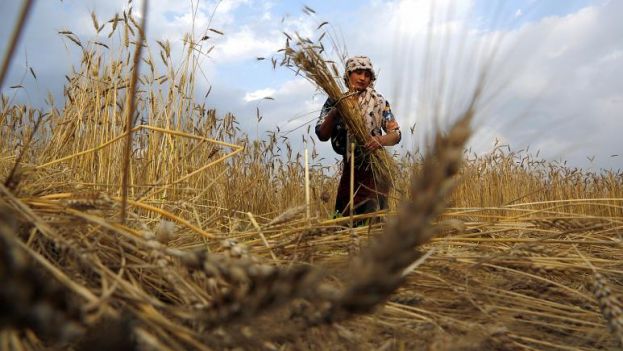 &Kappa;&omicron;&iota;&nu;ή &delta;ή&lambda;&omega;&sigma;&eta; &Sigma;&tau;.&Alpha;&rho;&alpha;&chi;&omega;&beta;ί&tau;&eta;- &Omicron;&lambda;.&Tau;&epsilon;&lambda;&iota;&gamma;&iota;&omicron;&rho;ί&delta;&omicron;&upsilon; &gamma;&iota;&alpha; &tau;&eta;&nu; &kappa;&rho;ί&sigma;&eta; &sigma;&tau;&eta;&nu; &Omicron;&upsilon;&kappa;&rho;&alpha;&nu;ί&alpha;