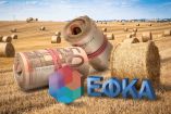 &Tau;&alpha; &pi;&omicron;&sigma;ά &tau;&eta;&sigmaf; &alpha;&sigma;&phi;ά&lambda;&iota;&sigma;&eta;&sigmaf; &tau;&omega;&nu; &alpha;&gamma;&rho;&omicron;&tau;ώ&nu; &alpha;&nu;ά&lambda;&omicron;&gamma;&alpha; &tau;&eta;&nu; &kappa;&alpha;&tau;&eta;&gamma;&omicron;&rho;ί&alpha; &epsilon;&pi;&iota;&lambda;&omicron;&gamma;ή&sigmaf; &tau;&omicron;&upsilon;&sigmaf;