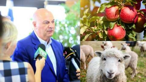 &Upsilon;&pi;&Alpha;&Alpha;&Tau;:  &Sigma;&tau;&alpha; 250 &euro; &tau;&omicron; &alpha;&nu;ώ&tau;&alpha;&tau;&omicron; &pi;&omicron;&sigma;ό &eta; &alpha;&pi;&omicron;&zeta;&eta;&mu;ί&omega;&sigma;&eta; &gamma;&iota;&alpha; &kappa;ά&theta;&epsilon; &zeta;ώ&omicron; &pi;&omicron;&upsilon; &theta;&alpha;&nu;&alpha;&tau;ώ&theta;&eta;&kappa;&epsilon; - &Pi;&rho;&omicron;&omega;&theta;&epsilon;ί&tau;&alpha;&iota; &lambda;ύ&sigma;&eta; &kappa;&alpha;&iota; &gamma;&iota;&alpha; &tau;&omicron;&upsilon;&sigmaf; &mu;&eta;&lambda;&omicron;&pi;&alpha;&rho;&alpha;&gamma;&omega;&gamma;&omicron;ύ&sigmaf; &tau;&eta;&sigmaf; &Alpha;&gamma;&iota;ά&sigmaf;