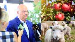 &Upsilon;&pi;&Alpha;&Alpha;&Tau;:  &Sigma;&tau;&alpha; 250 &euro; &tau;&omicron; &alpha;&nu;ώ&tau;&alpha;&tau;&omicron; &pi;&omicron;&sigma;ό &eta; &alpha;&pi;&omicron;&zeta;&eta;&mu;ί&omega;&sigma;&eta; &gamma;&iota;&alpha; &kappa;ά&theta;&epsilon; &zeta;ώ&omicron; &pi;&omicron;&upsilon; &theta;&alpha;&nu;&alpha;&tau;ώ&theta;&eta;&kappa;&epsilon; - &Pi;&rho;&omicron;&omega;&theta;&epsilon;ί&tau;&alpha;&iota; &lambda;ύ&sigma;&eta; &kappa;&alpha;&iota; &gamma;&iota;&alpha; &tau;&omicron;&upsilon;&sigmaf; &mu;&eta;&lambda;&omicron;&pi;&alpha;&rho;&alpha;&gamma;&omega;&gamma;&omicron;ύ&sigmaf; &tau;&eta;&sigmaf; &Alpha;&gamma;&iota;ά&sigmaf;