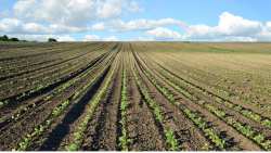 &Epsilon;&pi;&iota;&sigma;&tau;ή&mu;&omicron;&nu;&epsilon;&sigmaf; &alpha;&nu;&tau;&iota;&delta;&rho;&omicron;ύ&nu; &sigma;&tau;&omicron;&nu; &iota;&sigma;&chi;&upsilon;&rho;&iota;&sigma;&mu;ό ό&tau;&iota; &omicron; &nu;ό&mu;&omicron;&sigmaf; &tau;&eta;&sigmaf; &Epsilon;&Epsilon; &gamma;&iota;&alpha; &tau;&eta;&nu; &alpha;&pi;&omicron;&kappa;&alpha;&tau;ά&sigma;&tau;&alpha;&sigma;&eta; &tau;&eta;&sigmaf; &phi;ύ&sigma;&eta;&sigmaf; &beta;&lambda;ά&pi;&tau;&epsilon;&iota; &tau;&omicron;&upsilon;&sigmaf; &alpha;&gamma;&rho;ό&tau;&epsilon;&sigmaf;