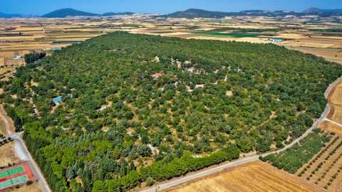 &Epsilon;&sigma;&pi;&epsilon;&rho;ί&delta;&alpha; &tau;&eta;&sigmaf; &Pi;&epsilon;&rho;&iota;&phi;έ&rho;&epsilon;&iota;&alpha;&sigmaf; &Theta;&epsilon;&sigma;&sigma;&alpha;&lambda;ί&alpha;&sigmaf; &gamma;&iota;&alpha; &tau;&omicron; &alpha;&iota;&sigma;&theta;&eta;&tau;&iota;&kappa;ό &delta;ά&sigma;&omicron;&sigmaf; &laquo;&Kappa;&omicron;&upsilon;&rho;ί&raquo; &sigma;&tau;&omicron;&nu; &Alpha;&lambda;&mu;&upsilon;&rho;ό