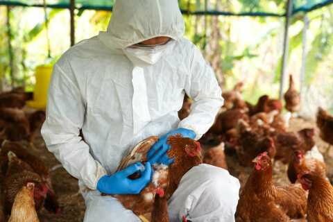 &Sigma;&epsilon; &epsilon;&pi;&iota;&phi;&upsilon;&lambda;&alpha;&kappa;ή &gamma;&iota;&alpha; &tau;&eta; &gamma;&rho;ί&pi;&eta; &tau;&omega;&nu; &pi;&tau;&eta;&nu;ώ&nu; &sigma;&tau;&eta;&nu; Ή&pi;&epsilon;&iota;&rho;&omicron;