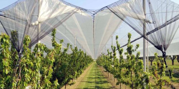 &Omicron;&lambda;&omicron;&kappa;&lambda;ή&rho;&omega;&sigma;&eta; &tau;&eta;&sigmaf; &Upsilon;&pi;&omicron;&beta;&omicron;&lambda;ή&sigmaf; &Alpha;&iota;&tau;ή&sigma;&epsilon;&omega;&nu; &Sigma;&tau;ή&rho;&iota;&xi;&eta;&sigmaf; &gamma;&iota;&alpha; &tau;&omicron; 5.1