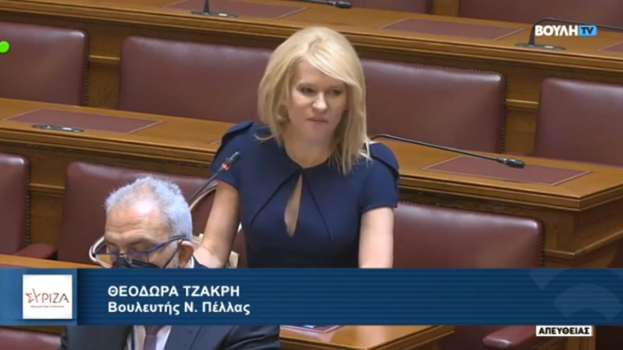 &Pi;&alpha;&rho;&epsilon;́&mu;&beta;&alpha;&sigma;&eta; &tau;&eta;&sigmaf; &Tau;&zeta;ά&kappa;&rho;&eta; &sigma;&tau;&eta; &Beta;&omicron;&upsilon;&lambda;ή &gamma;&iota;&alpha; &tau;&omicron;&nu; &alpha;&gamma;&rho;&omicron;&delta;&iota;&alpha;&tau;&rho;&omicron;&phi;&iota;&kappa;&omicron;́ &tau;&omicron;&mu;&epsilon;́&alpha;