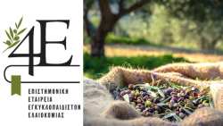 &Kappa;&alpha;&theta;&omicron;&rho;&iota;&sigma;&tau;&iota;&kappa;έ&sigmaf; &omicron;&iota; &pi;&alpha;&rho;&epsilon;&mu;&beta;ά&sigma;&epsilon;&iota;&sigmaf; &tau;&eta;&sigmaf; 4 &Epsilon; &gamma;&iota;&alpha; &tau;&omicron; &epsilon;&lambda;&lambda;&eta;&nu;&iota;&kappa;ό &epsilon;&lambda;&alpha;&iota;ό&lambda;&alpha;&delta;&omicron;