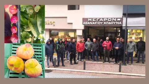 &Pi;&alpha;&rho;&alpha;&mu;ό&rho;&phi;&omega;&sigma;&eta; &rho;&omicron;&delta;ά&kappa;&iota;&nu;&omega;&nu;: &Alpha;&gamma;&alpha;&nu;&alpha;&kappa;&tau;&iota;&sigma;&mu;έ&nu;&omicron;&iota; &omicron;&iota; &pi;&alpha;&rho;&alpha;&gamma;&omega;&gamma;&omicron;ί &sigma;&tau;&iota;&sigmaf; &Alpha;&mu;&pi;&epsilon;&lambda;&epsilon;&iota;έ&sigmaf; &kappa;&alpha;&tau;&alpha;&gamma;&gamma;έ&lambda;&lambda;&omicron;&upsilon;&nu; &alpha;&delta;&iota;&alpha;&phi;&omicron;&rho;ί&alpha; &tau;&omicron;&upsilon; &Upsilon;&Pi;&Alpha;&Alpha;&Tau; - Ά&kappa;&alpha;&rho;&pi;&eta; &eta; &sigma;&upsilon;&nu;ά&nu;&tau;&eta;&sigma;&eta; &tau;&omicron;&upsilon;&sigmaf; &mu;&epsilon; &tau;&omicron;&nu; &Upsilon;&phi;&Alpha;&Alpha;&Tau; &Delta;. &Sigma;&tau;&alpha;&mu;&epsilon;&nu;ί&tau;&eta;