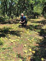&Epsilon;&pi;ί&sigma;&kappa;&epsilon;&psi;&eta; &tau;&omicron;&upsilon; &beta;&omicron;&upsilon;&lambda;&epsilon;&upsilon;&tau;ή &Lambda;ά&zeta;&alpha;&rho;&omicron;&upsilon; &Tau;&sigma;&alpha;&beta;&delta;&alpha;&rho;ί&delta;&eta; &sigma;&tau;&iota;&sigmaf; &pi;&lambda;&eta;&gamma;&epsilon;ί&sigma;&epsilon;&sigmaf; &alpha;&pi;ό &tau;&eta;&nu; &theta;&epsilon;&omicron;&mu;&eta;&nu;ί&alpha; &pi;&epsilon;&rho;&iota;&omicron;&chi;έ&sigmaf; &tau;&eta;&sigmaf; &Eta;&mu;&alpha;&theta;ί&alpha;&sigmaf;