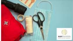 &Epsilon;&xi; &alpha;&pi;&omicron;&sigma;&tau;ά&sigma;&epsilon;&omega;&sigmaf; &epsilon;&kappa;&mu;ά&theta;&eta;&sigma;&eta; &Pi;&rho;ώ&tau;&omega;&nu; &Beta;&omicron;&eta;&theta;&epsilon;&iota;ώ&nu; &mu;&epsilon; &mu;ό&lambda;&iota;&sigmaf; 50&euro;