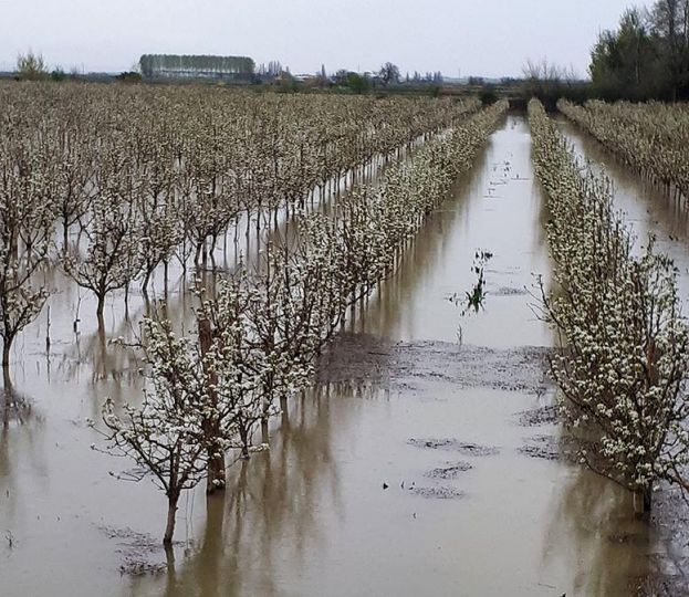 &Epsilon;&kappa;&tau;ί&mu;&eta;&sigma;&eta; &gamma;&iota;&alpha; &zeta;&eta;&mu;&iota;έ&sigmaf; &sigma;&epsilon; 13.000.000 &sigma;&tau;&rho;έ&mu;&mu;&alpha;&tau;&alpha; &sigma;&tau;&eta;&nu; &Iota;&sigma;&pi;&alpha;&nu;ί&alpha;