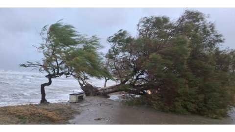 &Epsilon;&pi;ί &pi;&omicron;&delta;ό&sigmaf; ό&lambda;&omicron;&sigmaf; &omicron; &mu;&eta;&chi;&alpha;&nu;&iota;&sigma;&mu;ό&sigmaf; &tau;&eta;&sigmaf; &Pi;&epsilon;&rho;&iota;&phi;έ&rho;&epsilon;&iota;&alpha;&sigmaf; &Theta;&epsilon;&sigma;&sigma;&alpha;&lambda;ί&alpha;&sigmaf; &gamma;&iota;&alpha; &tau;&eta;&nu; &alpha;&nu;&tau;&iota;&mu;&epsilon;&tau;ώ&pi;&iota;&sigma;&eta; &tau;&eta;&sigmaf; &kappa;&alpha;&kappa;&omicron;&kappa;&alpha;&iota;&rho;ί&alpha;&sigmaf; &laquo;Bora&raquo;